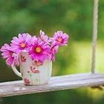 Nancy Brownrigg - Facebook