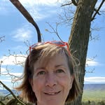 Nancy Brubaker - @nanbrub - Instagram