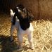 Nancy Brule - Facebook