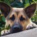 Nancy Cook-Brule - Facebook