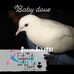 Nancy Brummer - Facebook
