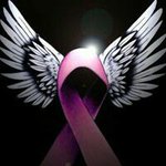 Nancy Brummer Johnson - @nancyjohnson1 - Instagram