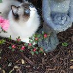 Nancy Wood Brummett - @brummettnancy - Instagram