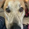 Nancy Bruss - @nancy.bruss7 - TikTok