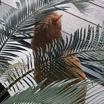 Nancy Brusselmans - @brusselmansnancy - Instagram