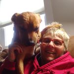 Nancy Brzezinski - @niagara_hudson - Instagram
