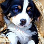 Nancy Bucaro - Facebook