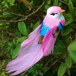 Nancy Bucio - @nancybuciorueda123gmail.com3 - Instagram