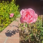 Nancy Buckner - @nancykbuckner2 - Instagram