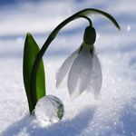 Nancy Büchner - @nancybuechner80 - Instagram