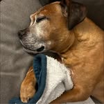 Nancy Buehler - @nancepants17 - Instagram