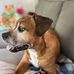 Nancy Buehler - Facebook