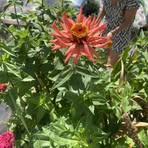 Nancy Buley - Facebook