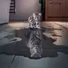 Nancy Bull - @nancy.bull0 - TikTok