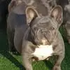 Nancy Bull - @nancy.bull10 - TikTok