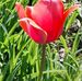 Nancy Bumgardner - Facebook
