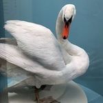Nancy Bunnell - @nancybunnell - Instagram