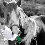 Nancy Lynn Bunner - @nancybunner - Instagram