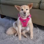 Nancy Burbridge - @burbridge.nancy - Instagram