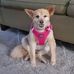 Nancy Burbridge - Facebook