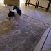 Nancy Burbridge - Facebook