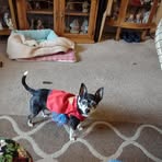 Nancy Fox-Burbridge - Facebook