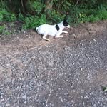Nancy Burchfield - @nancyburchfield3 - Instagram