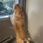 Nancy Burd - @burd7295 - Instagram