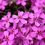 Nancy Burdick - @nancy.burdick - Instagram