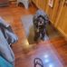 Nan Burgess - Facebook