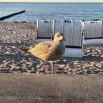 Nancy Burleson - @nancyburleson2 - Instagram