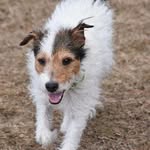 Nancy Burleson - @nancy.burleson.311 - Instagram