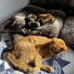 Nancy Burlingham - @nancy.burlingham.5 - Instagram