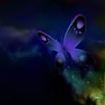 Nancy Burley - Facebook