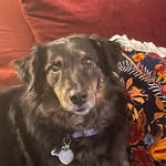 Nancy Hansen - @nancyhansenburley - Instagram