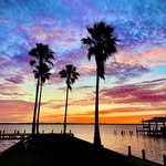 Nancy Appling Burrell - @naburrell - Instagram
