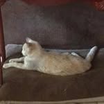 Nancy Burrell - @nancywburrell - Instagram