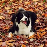 Nancy Breland Burrington - @nancybrelandburrington - Instagram