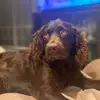 Nancy Burris839 - @nancyburris839 - TikTok
