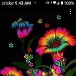 Nancy Burris - @nancyburris84 - Instagram