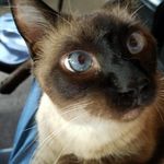 Nancy Burris - @burrisnancy - Instagram