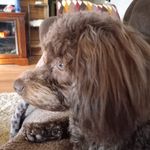 Nancy Burris - @nancy.burris - Instagram