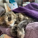 Nancy Burris-Gross - @nancyburrisgross - Instagram