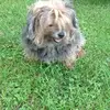 nancyburris498 - @nancyburris498 - TikTok