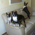 Nancy Burtis - @nburtis - Instagram