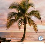 Nancy Swider Bury - @nancyswiderbury - Instagram