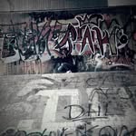 Nancy Buscemi - @nancybuscemi - Instagram