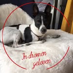 Nancy De Busschere - @nancydebusschere - Instagram