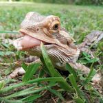 Nancy Buster - @nancy1442022 - Instagram