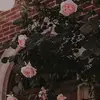 Nancy Bustos706 - @nancy.bustos - TikTok